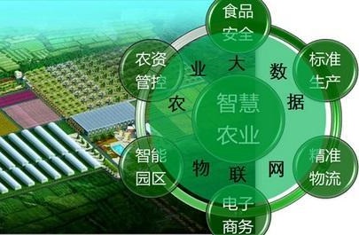 智慧农业